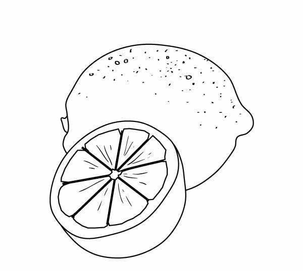 Coloring page lemon whole and sliced